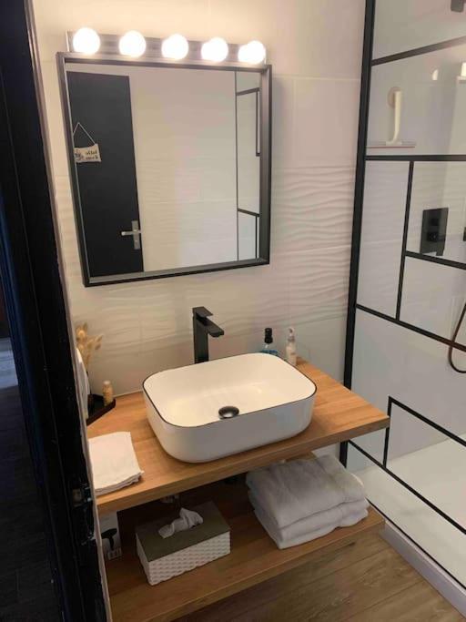 Villa 3 Chambres Parking Et Terrasse Plaisance-du-Touch Ngoại thất bức ảnh