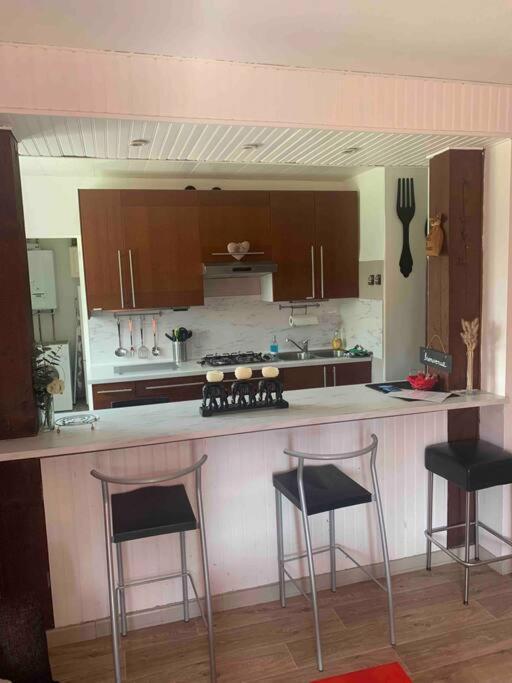 Villa 3 Chambres Parking Et Terrasse Plaisance-du-Touch Ngoại thất bức ảnh